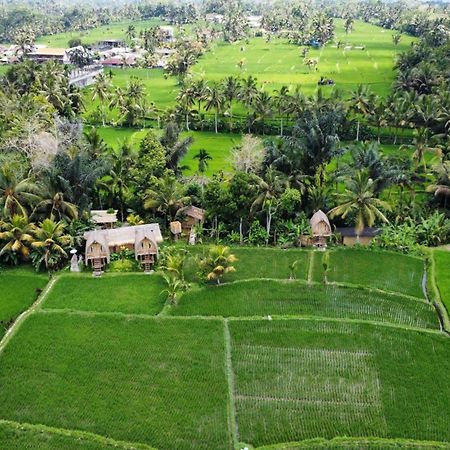 Kawig Bamboo House - Ricefield View, Eco Bamboo Home Tampaksiring Dış mekan fotoğraf