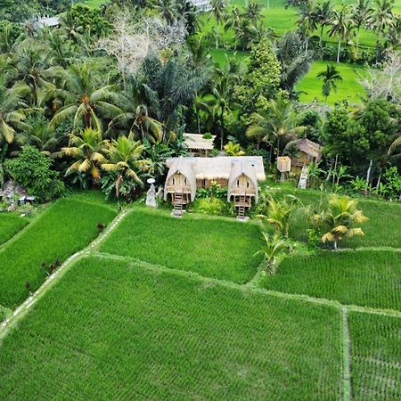 Kawig Bamboo House - Ricefield View, Eco Bamboo Home Tampaksiring Dış mekan fotoğraf