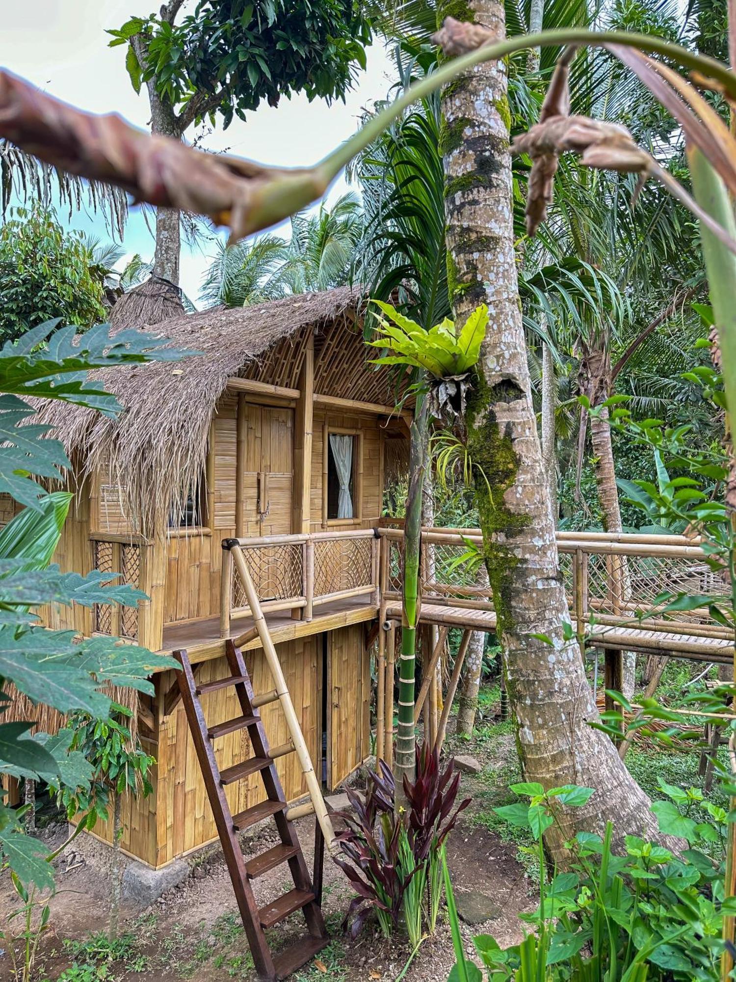 Kawig Bamboo House - Ricefield View, Eco Bamboo Home Tampaksiring Dış mekan fotoğraf