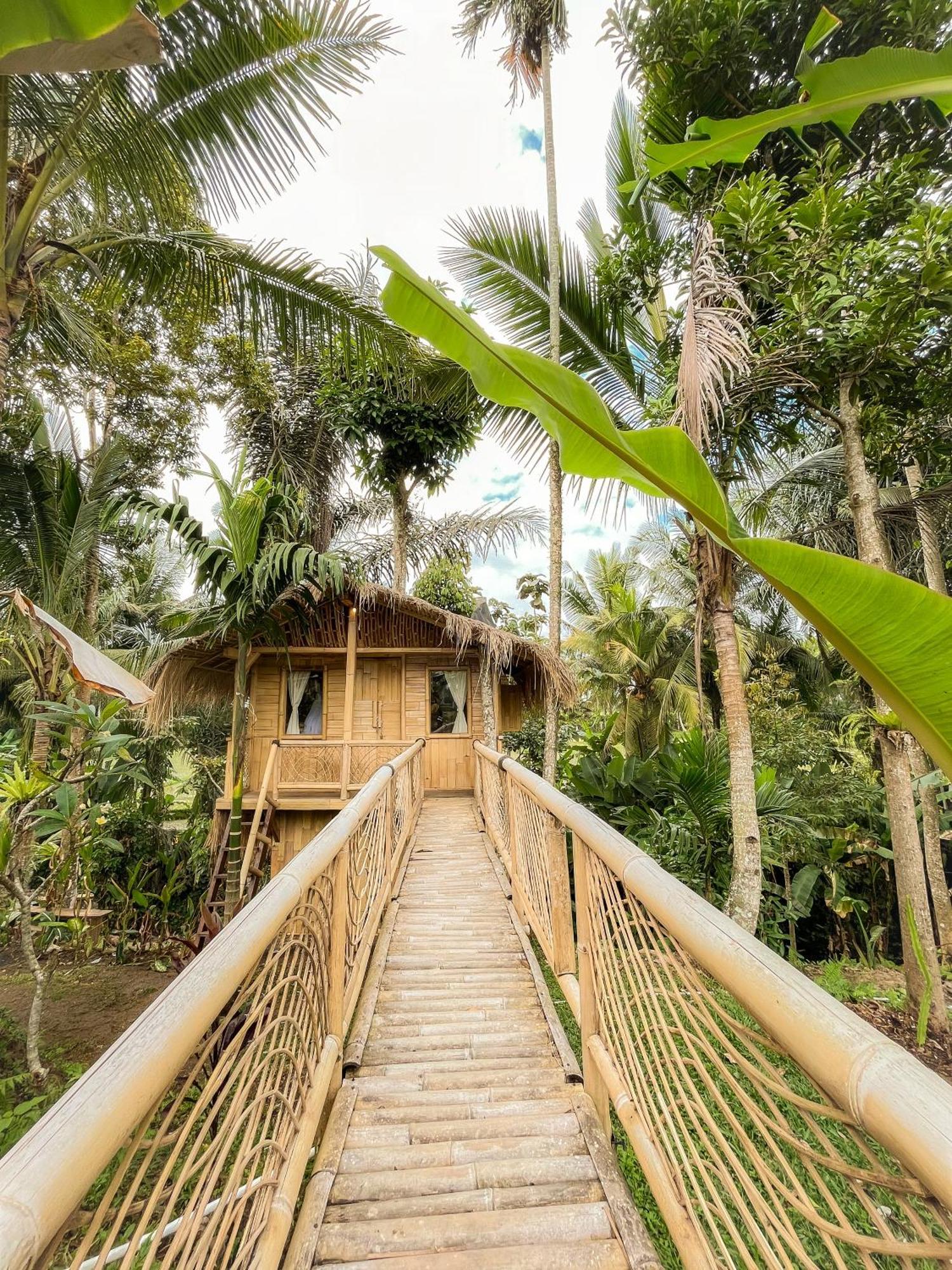 Kawig Bamboo House - Ricefield View, Eco Bamboo Home Tampaksiring Dış mekan fotoğraf