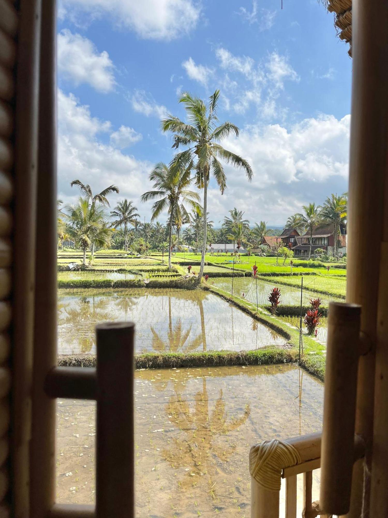 Kawig Bamboo House - Ricefield View, Eco Bamboo Home Tampaksiring Dış mekan fotoğraf