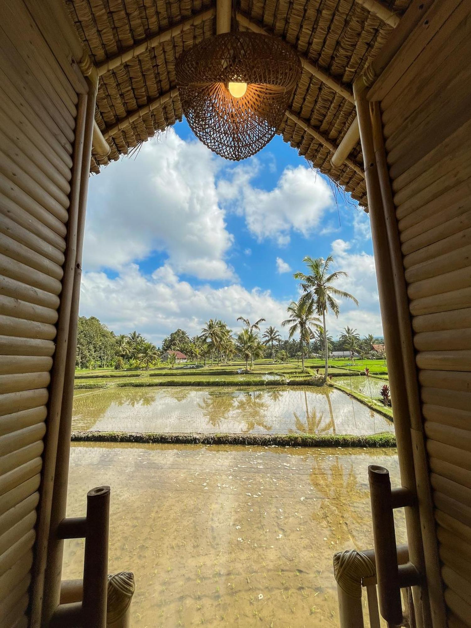 Kawig Bamboo House - Ricefield View, Eco Bamboo Home Tampaksiring Dış mekan fotoğraf