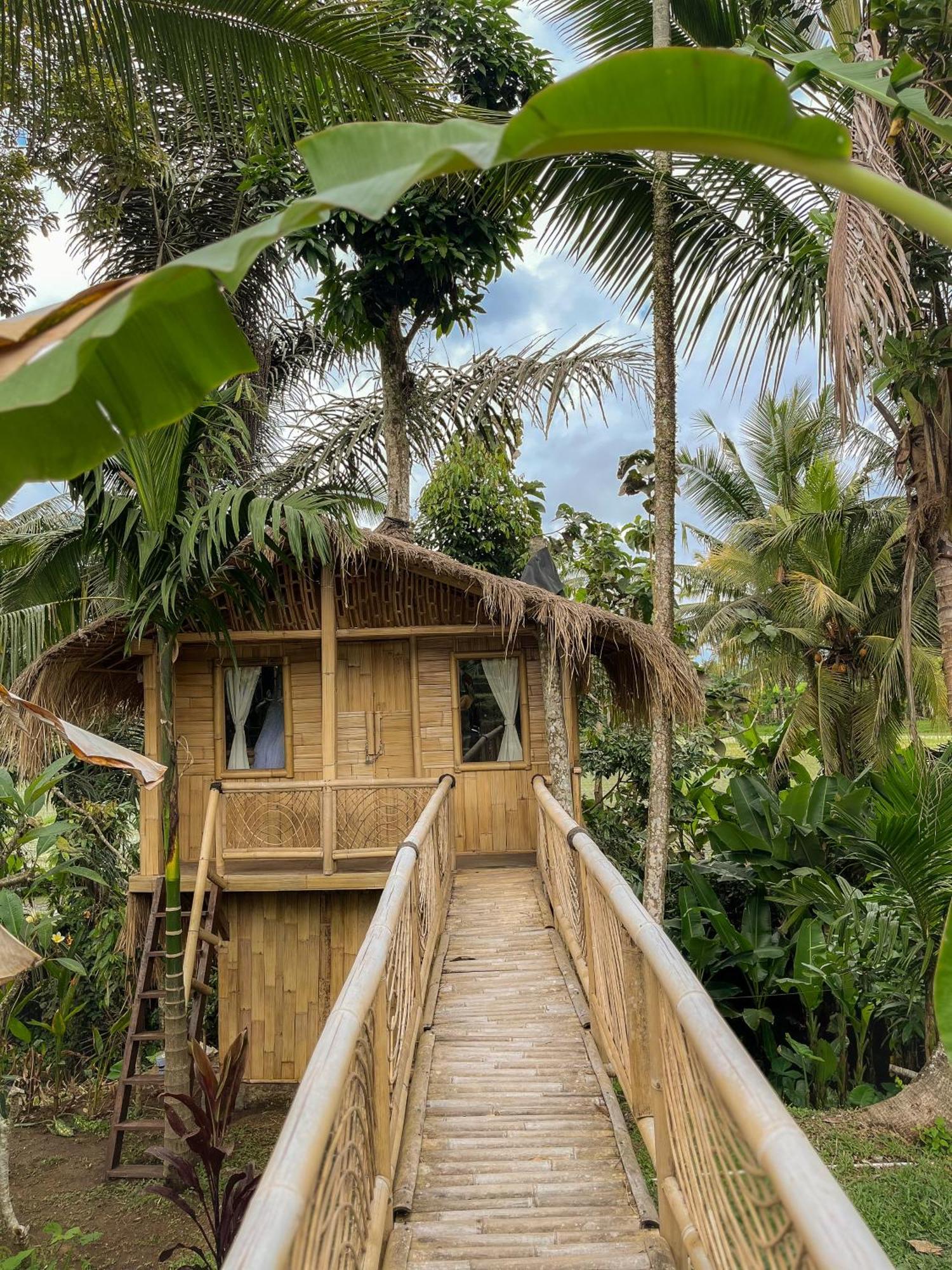 Kawig Bamboo House - Ricefield View, Eco Bamboo Home Tampaksiring Dış mekan fotoğraf