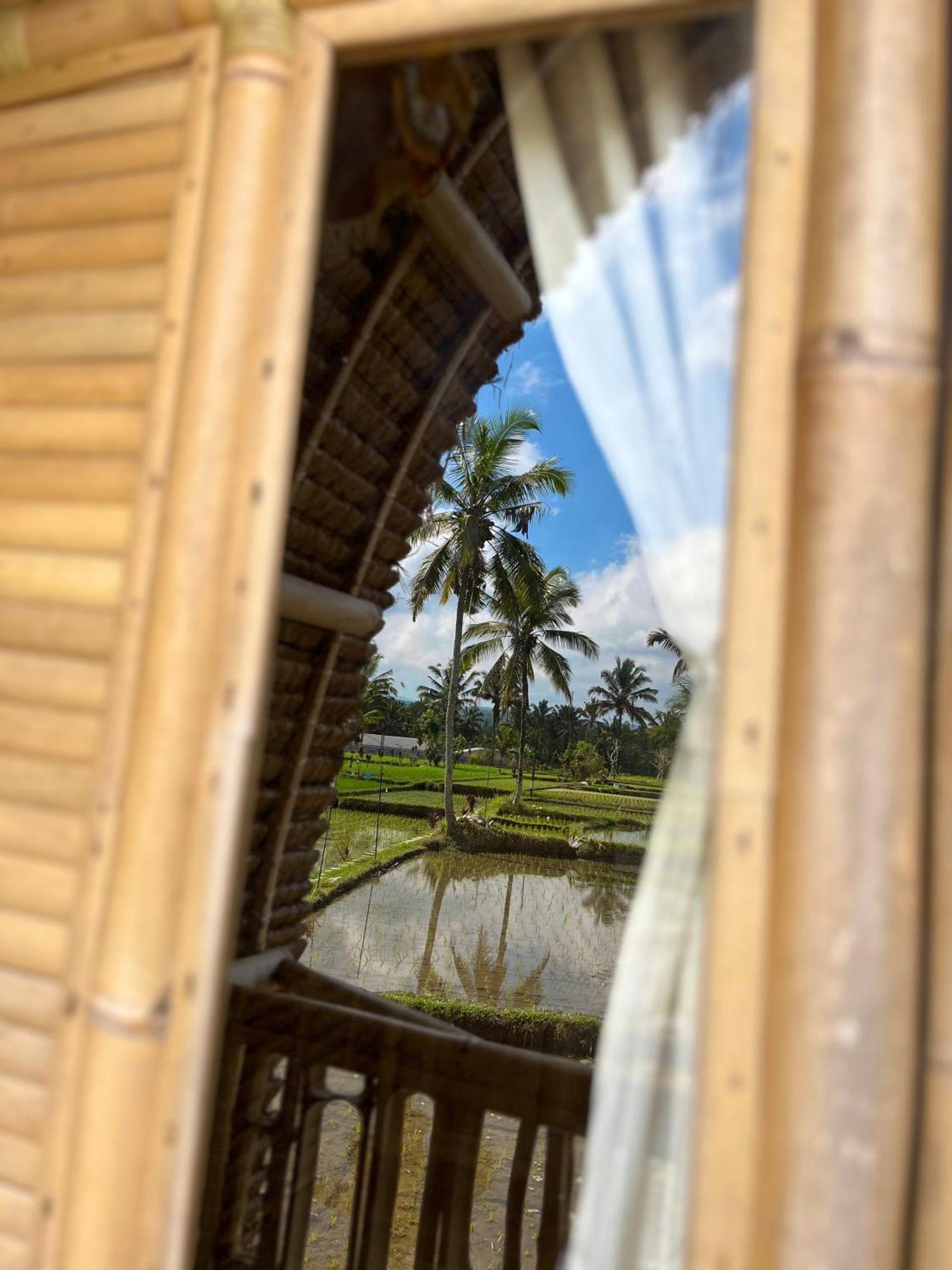 Kawig Bamboo House - Ricefield View, Eco Bamboo Home Tampaksiring Dış mekan fotoğraf