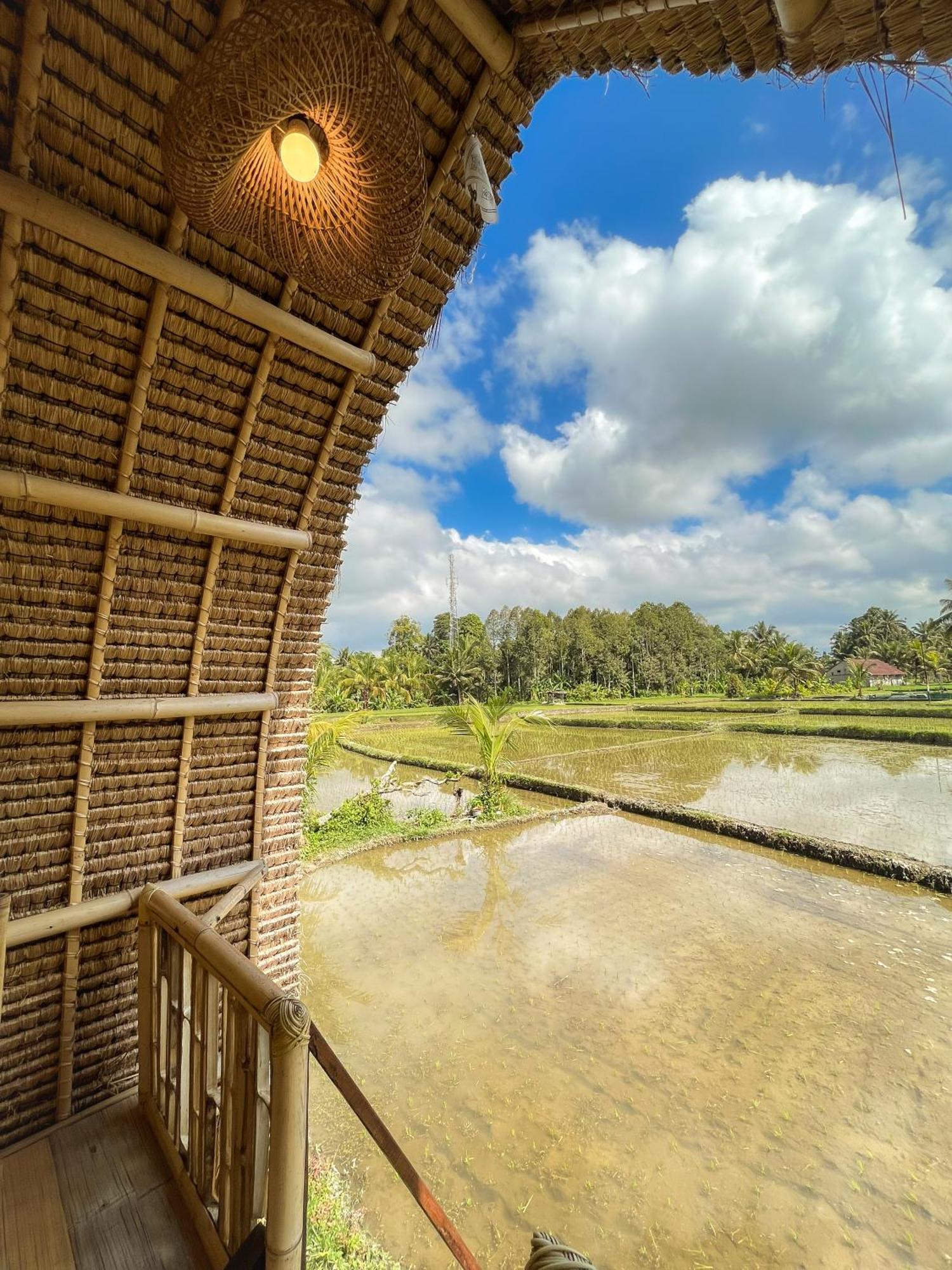 Kawig Bamboo House - Ricefield View, Eco Bamboo Home Tampaksiring Dış mekan fotoğraf
