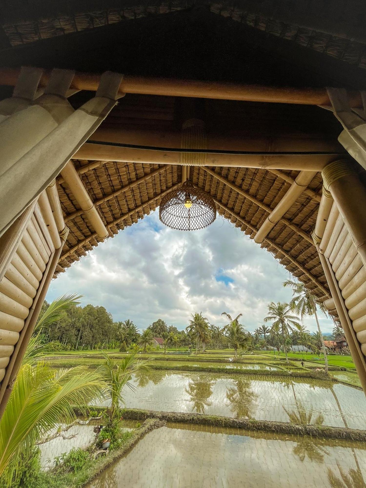 Kawig Bamboo House - Ricefield View, Eco Bamboo Home Tampaksiring Dış mekan fotoğraf