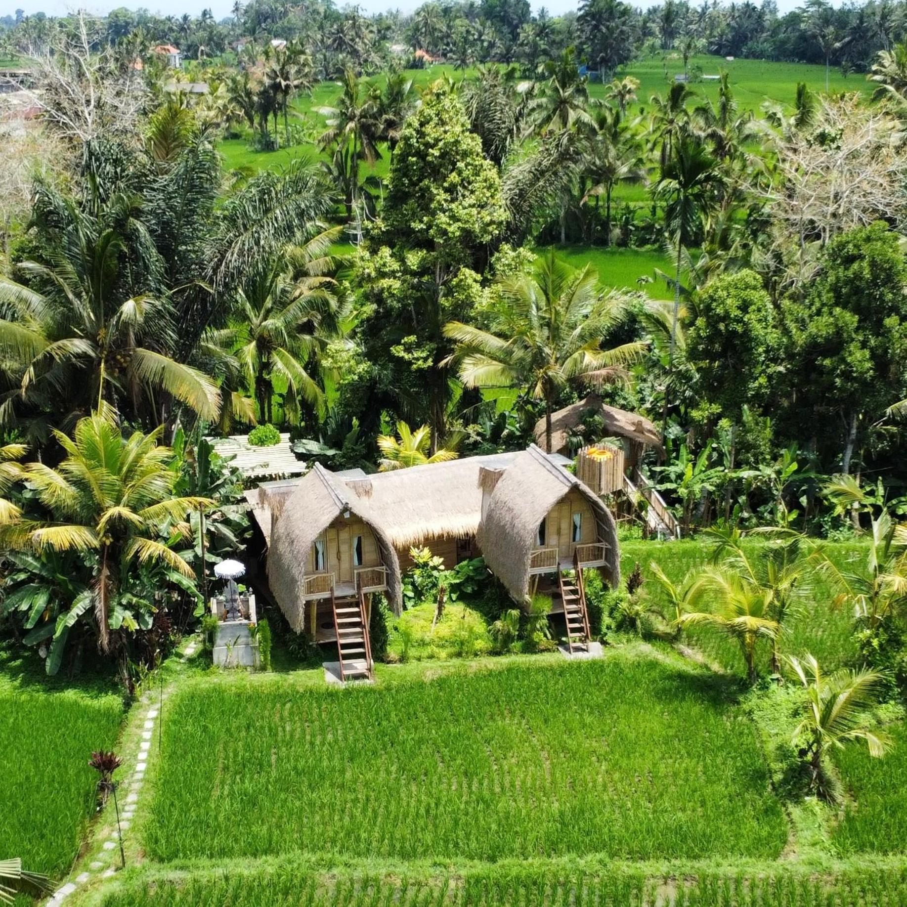 Kawig Bamboo House - Ricefield View, Eco Bamboo Home Tampaksiring Dış mekan fotoğraf