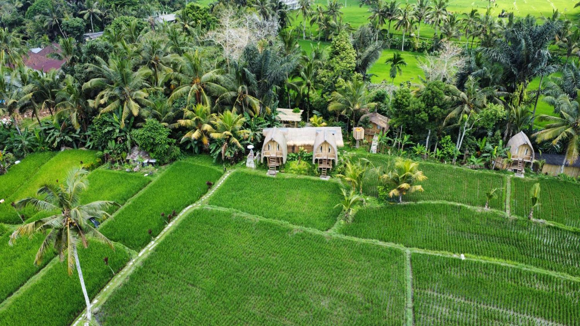 Kawig Bamboo House - Ricefield View, Eco Bamboo Home Tampaksiring Dış mekan fotoğraf